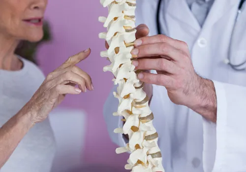 Chiropractic Jacksonville FL Spine Consultation